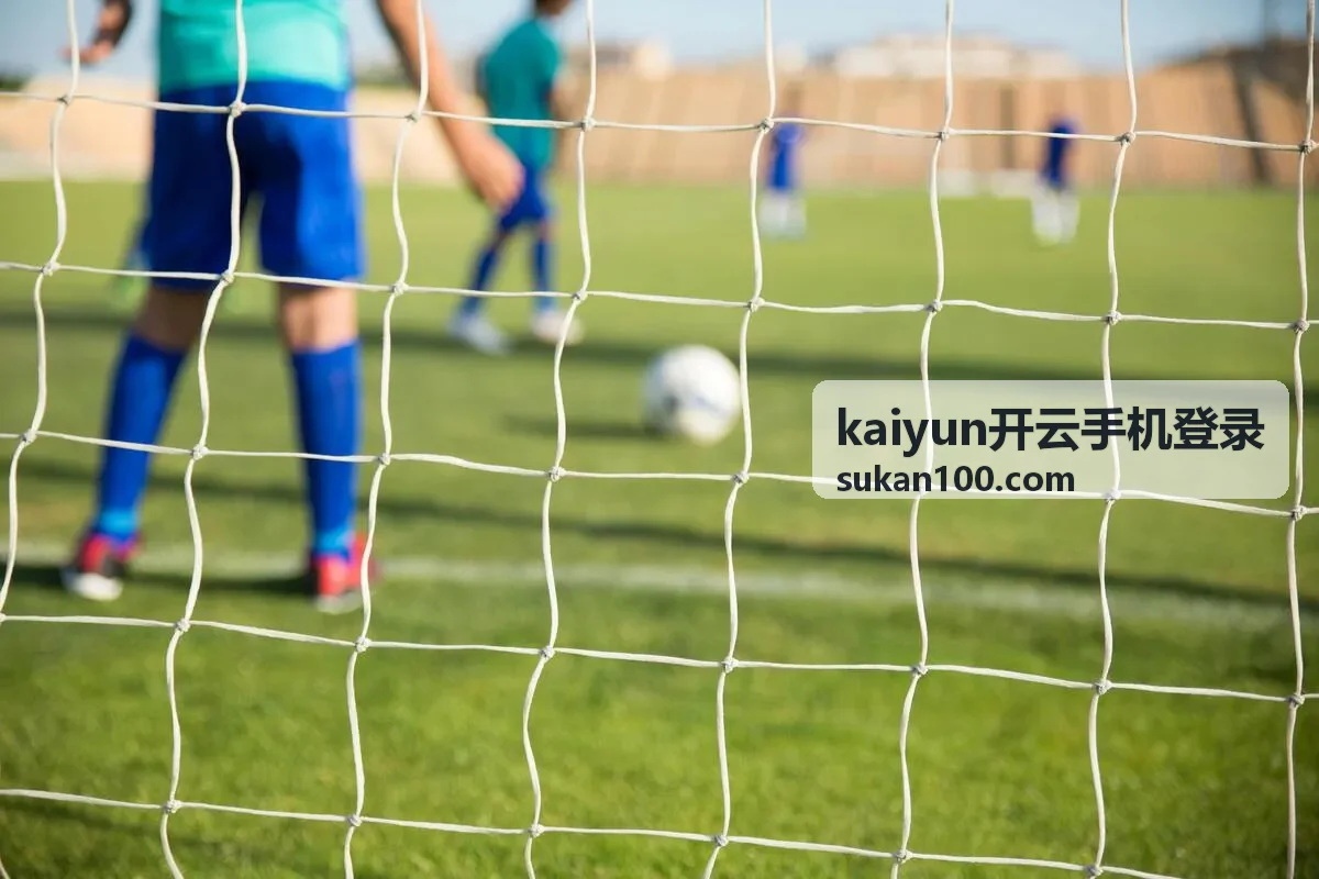 kaiyun开云手机登录密码修改入口示意