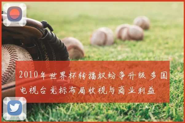2010年世界杯转播权纷争升级 多国电视台竞标布局收视与商业利益