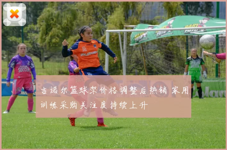 吉诺尔篮球架价格调整后热销 家用训练采购关注度持续上升