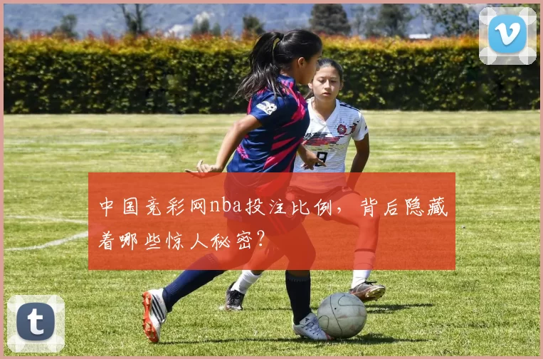 中国竞彩网nba投注比例，背后隐藏着哪些惊人秘密？