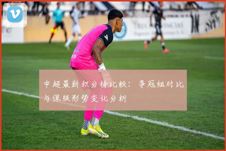 中超最新积分榜比较：争冠组对比与保级形势变化分析