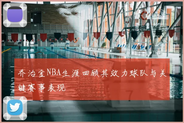 乔治金NBA生涯回顾其效力球队与关键赛事表现