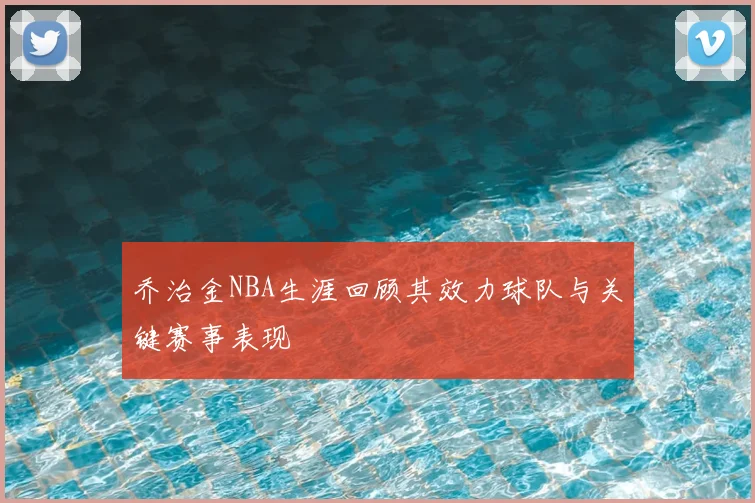 乔治金NBA生涯回顾其效力球队与关键赛事表现