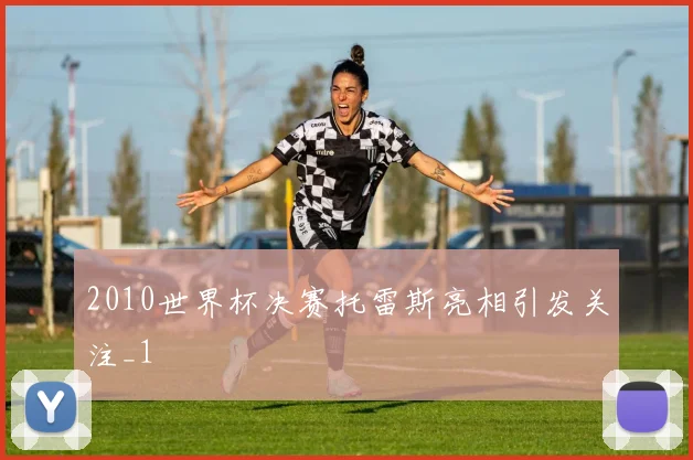 2010世界杯决赛托雷斯亮相引发关注_1