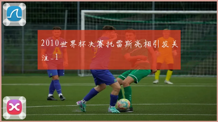 2010世界杯决赛托雷斯亮相引发关注_1